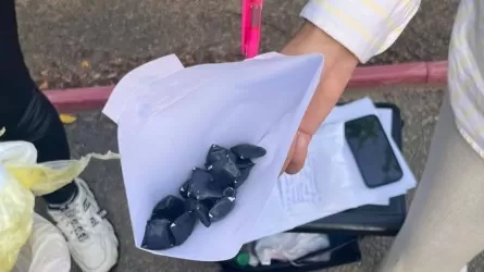 Петропавлда есірткімен ұсталған әйел 11 жылға сотталды
