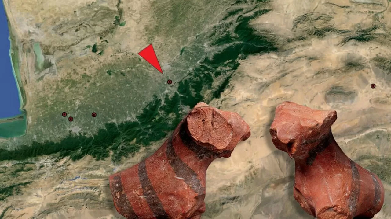 В Иране нашли древнейшее изображение тигра