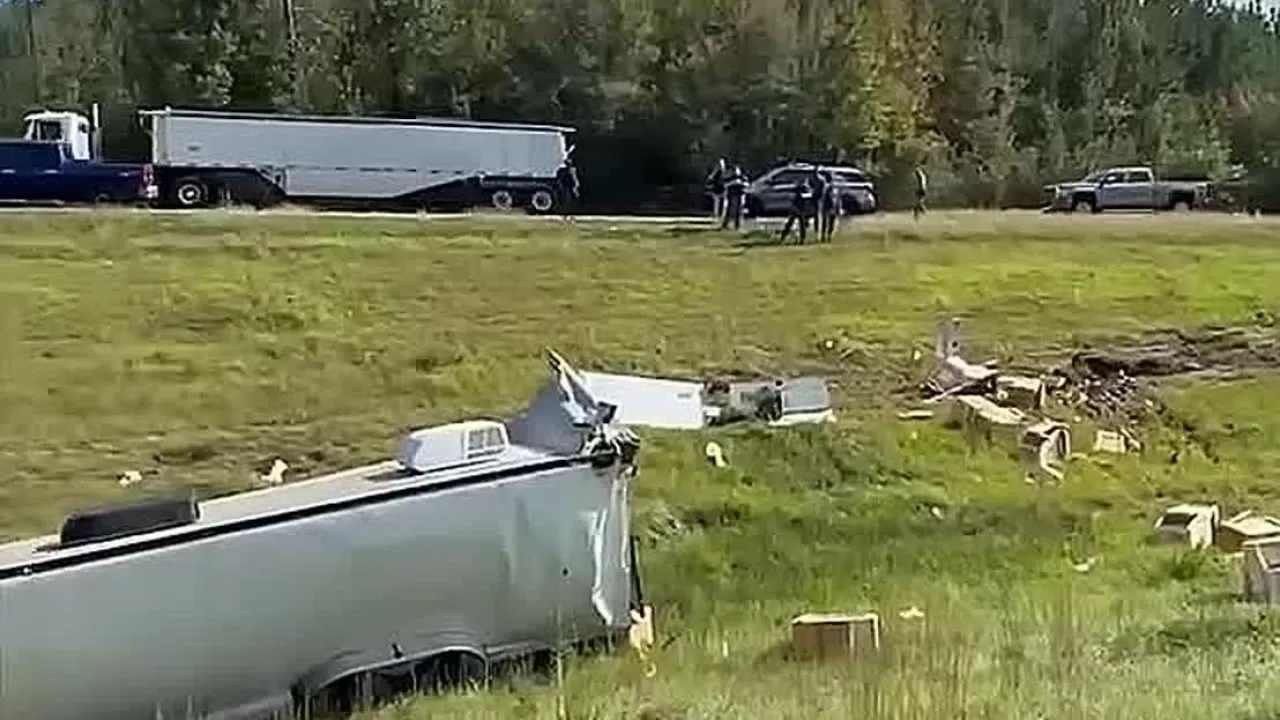 В США зараженная ковидом обезьяна сбежала после ДТП 