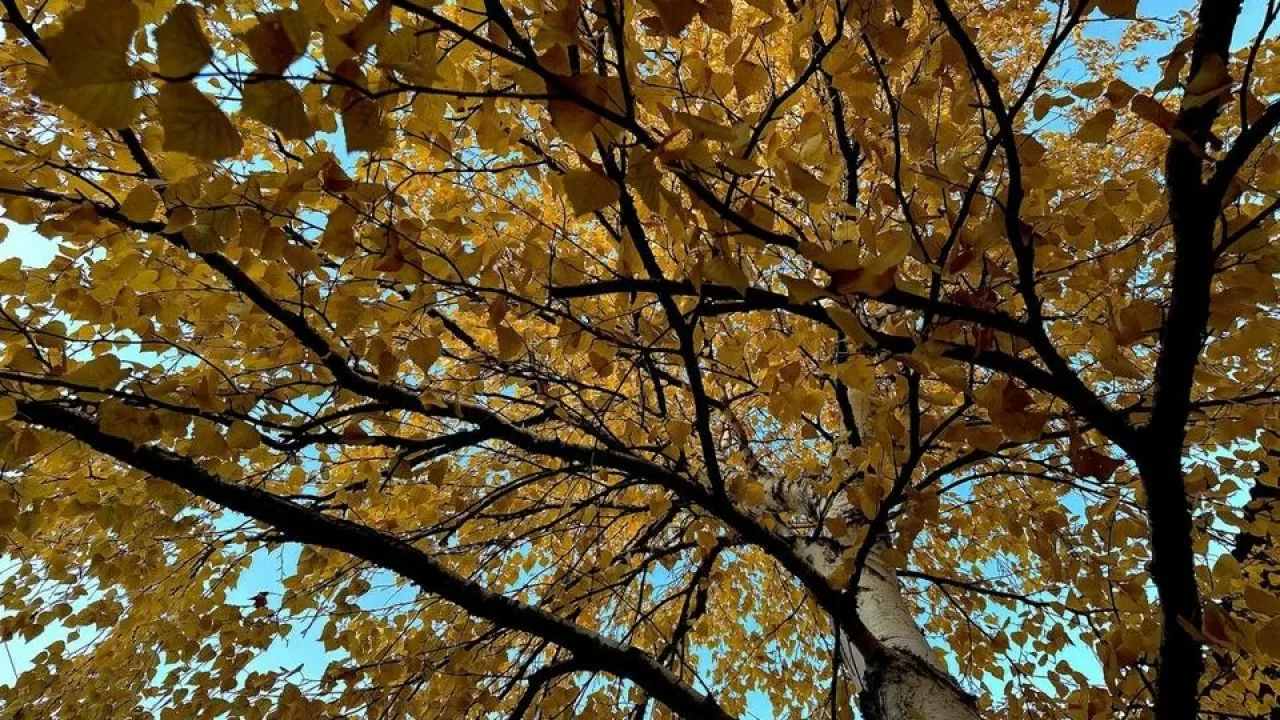 23  қазан күні ел аумағында ауа райы қалай құбылады