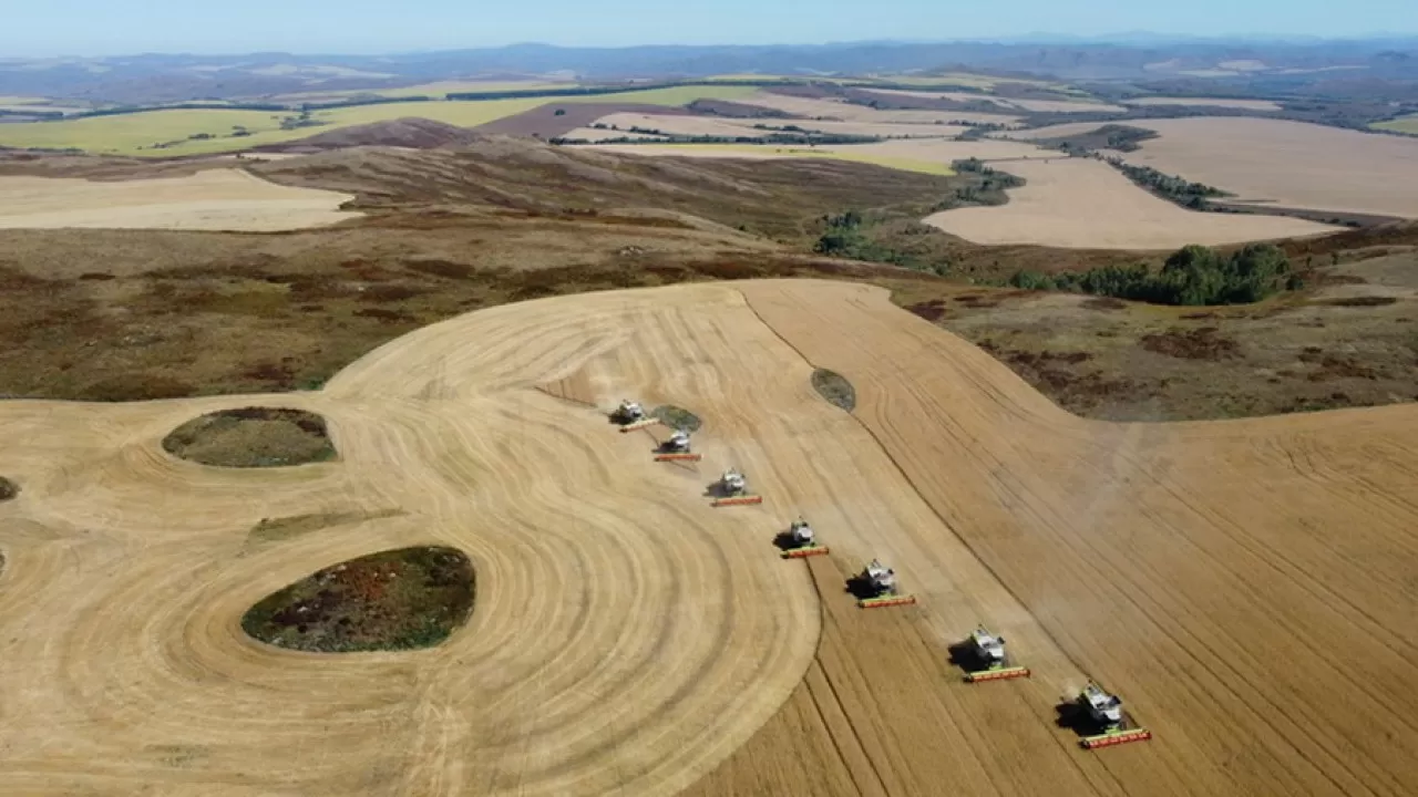 Азық-түлік корпорациясы Парсы шығанағы елдеріне астық жеткізуді жоспарлап отыр