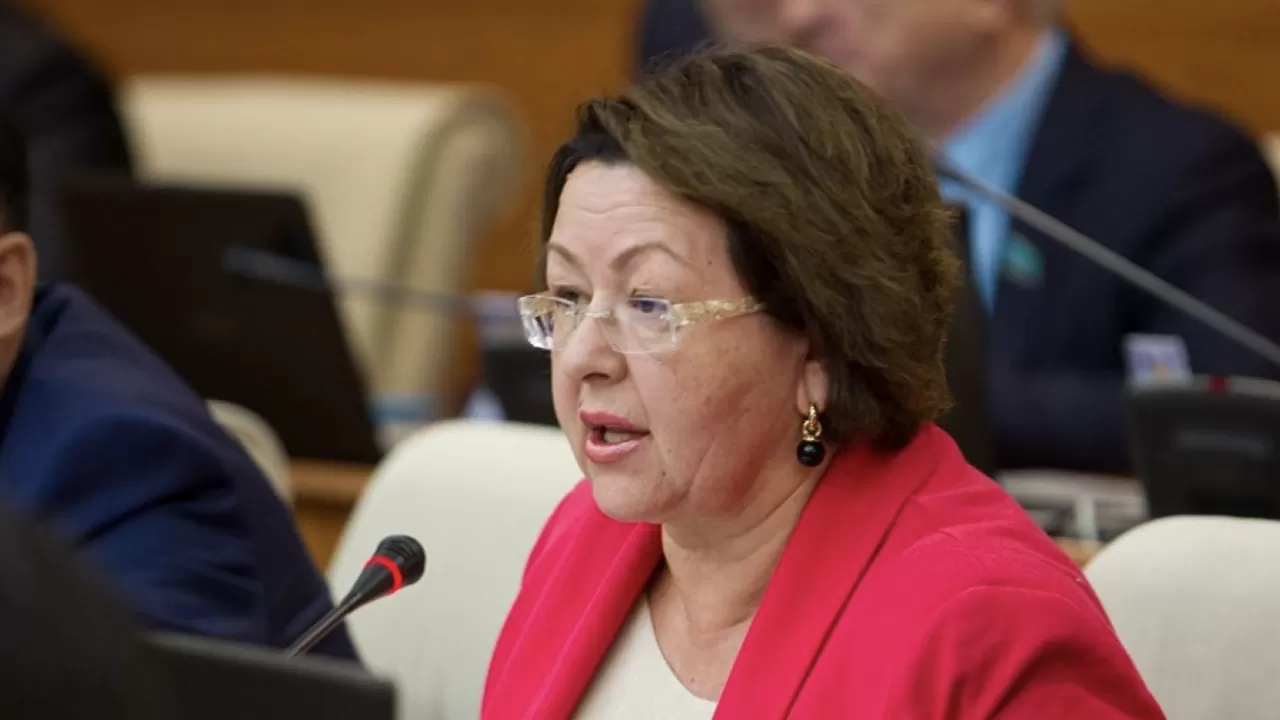 "Бір ханзада басқа ханзадаға ғашық болады": Депутат кітаптарда ЛГБТ қалай насихатталып жатқанын айтты