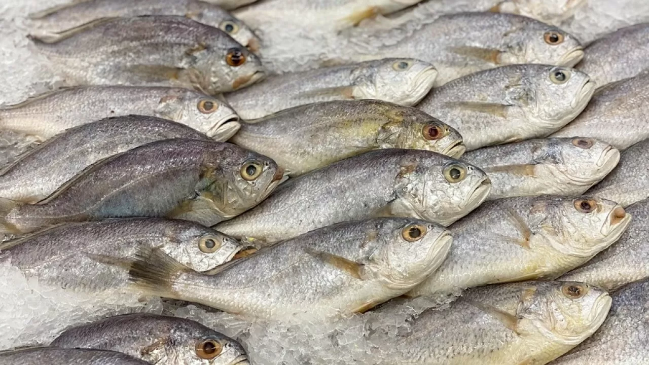 Названы продукты, содержащие больше всего фосфора 