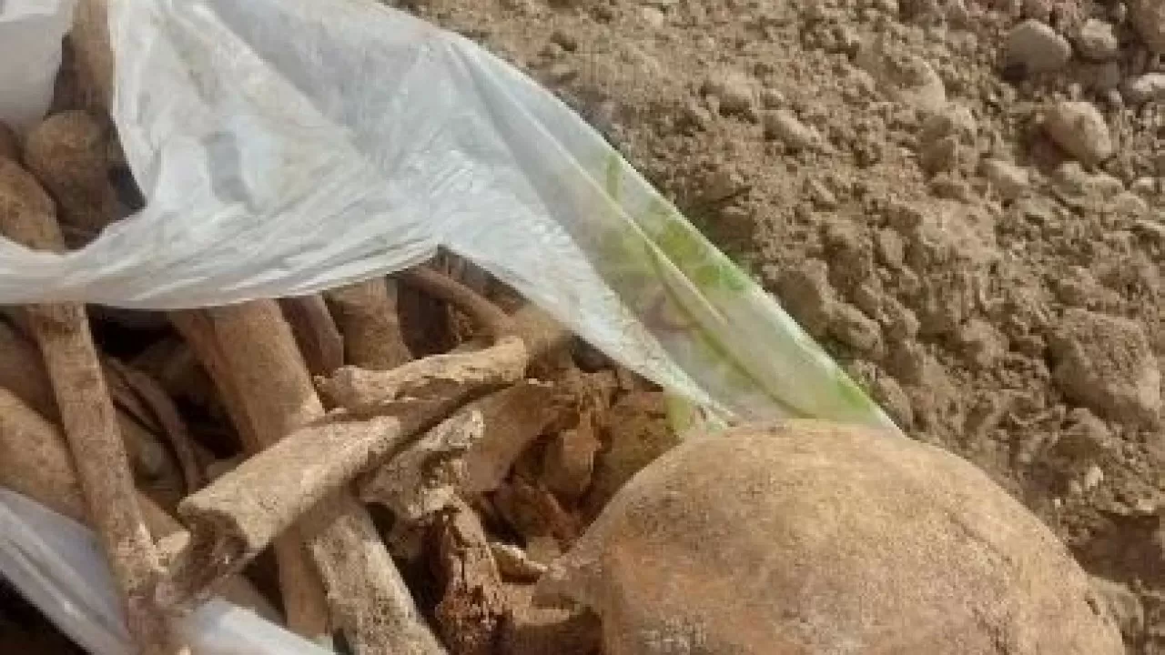 Шымкентте пакетке салынған адам сүйектері табылды 