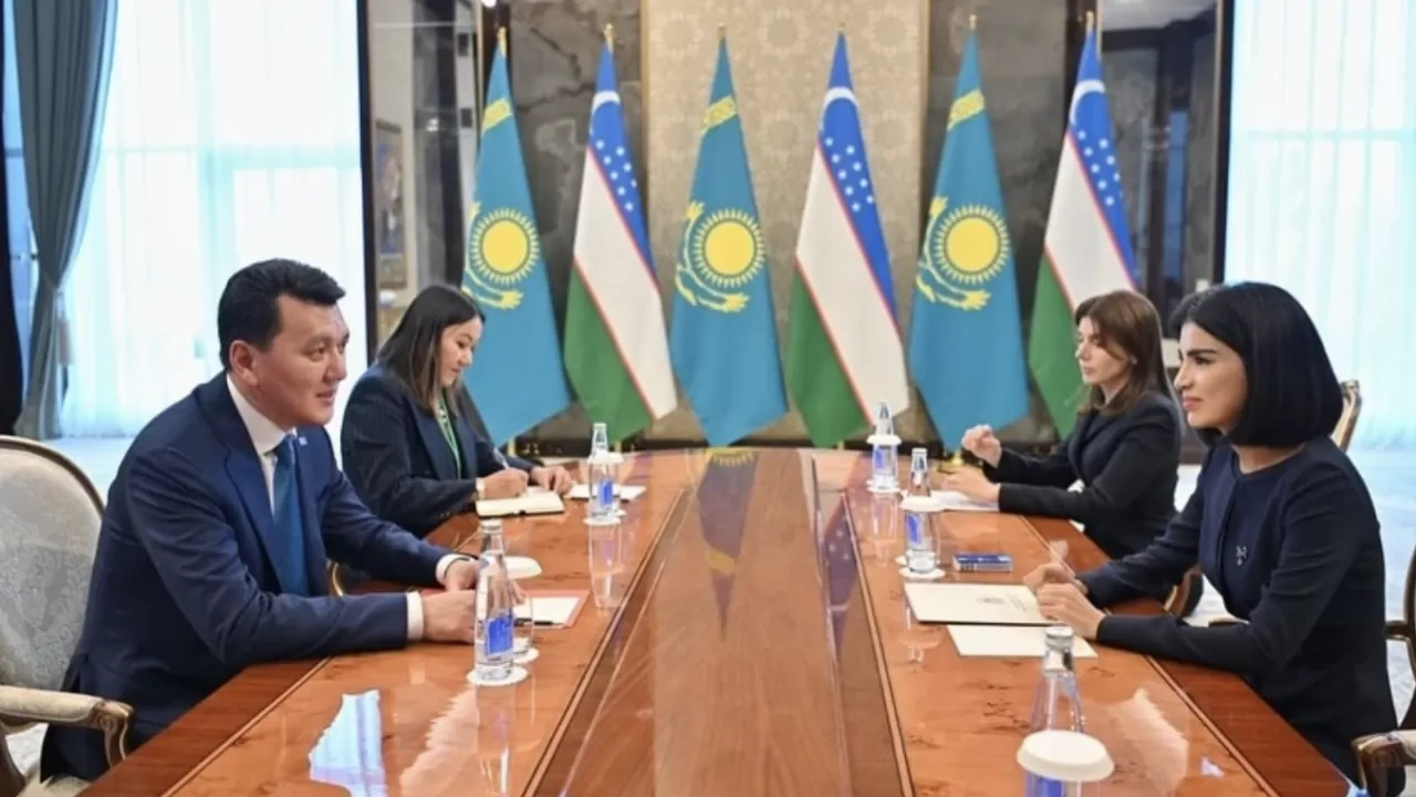 Ерлан Қарин Өзбекстан президенті әкімшілігінің басшысы Саида Мирзиёевамен кездесті