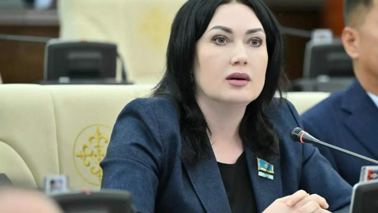 Депутат ЛГБТ насихатына қарсы екенін айтты