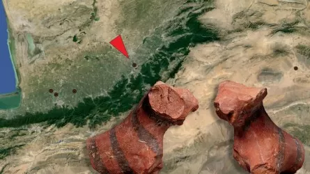 В Иране нашли древнейшее изображение тигра