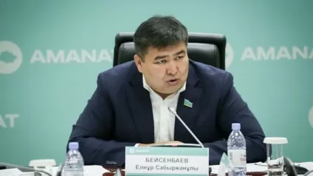 2028 жылы мемлекеттік қарыз 57,5 трлн теңгеге жетеді – Елнұр Бейсенбаев