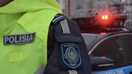 Павлодар облысында заңсыз сақталған 11 атыс қаруы тәркіленді