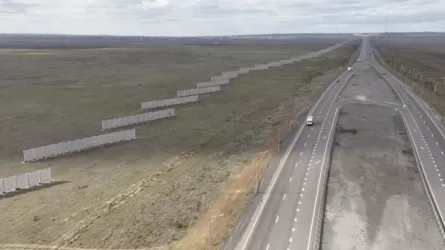 Қар басу қаупі бар учаскелерде 70 мың ағаш қалқан орнатылды – ҚазАвтоЖол