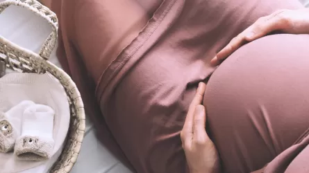 Конституциялық сот суррогат ана болу туралы өтінішті қараудан бас тартты