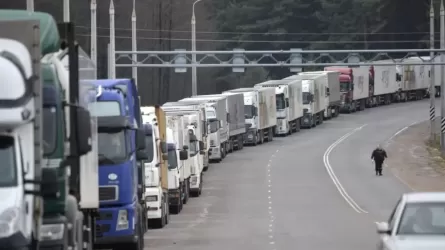 Жүк көліктерін заңсыз тіркеумен айналысқан топтың сыбайласы Ресейден экстрадицияланды