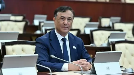 Эльман Насиров: Парламентская реформа – это ответ президента Токаева на вызовы новой эпохи