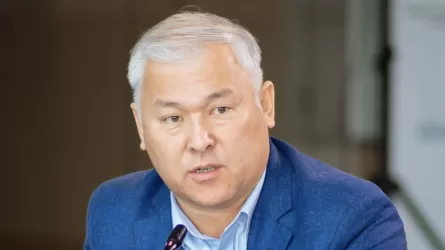 «Сауысқандық петроглифтерін шетел азаматтары бұзып жатыр»: Депутат Мұрат Әбенов дабыл қақты