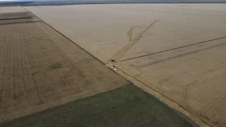 Қазақстанда ауыл шаруашылығы жерлерін жалға беру шектеулері ұлғайтылды