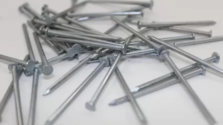 Шымкентте 1 жасар бала 4 сантиметрлік шеге жұтып қойған