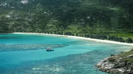 Круизный лайнер забыл 80-летнюю женщину на острове, пассажирка погибла