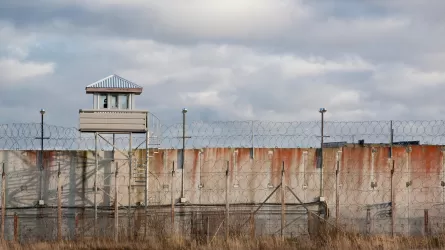 Алматыда ер адам анасын өлтірді деген күдікпен ұсталды