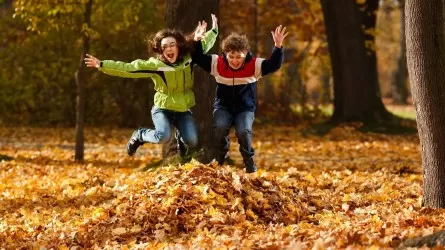 Родителям объяснили, на что дети должны тратить осенние каникулы 