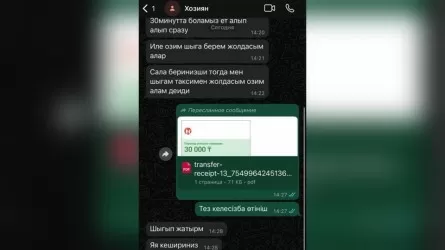 Размещали фиктивные объявления: серию афер в сети раскрыли в Актобе 