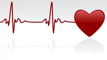 Сердце под контролем ИИ: как технологии спасают жизни?