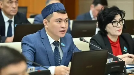 Депутаттар халыққа майдай жағатын ұсыныс жасады