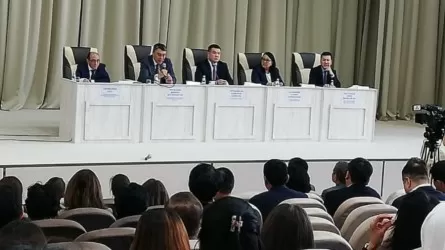 16% НДС и "серый" экспорт ГСМ: о чем в Шымкенте говорили участники правительственного десанта