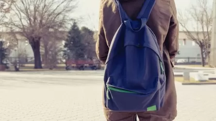 Смерть 12-летнего мальчика расследуют в Алматинской области 