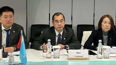 Бизнес Китая готов инвестировать в водные проекты РК  