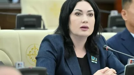 Депутат ЛГБТ насихатына қарсы екенін айтты