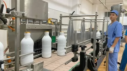 Отандық өндірушілерді қолдаған жөн, халқымыздың ауызбіршілігі осыдан да көрінеді – Мемлекет басшысы