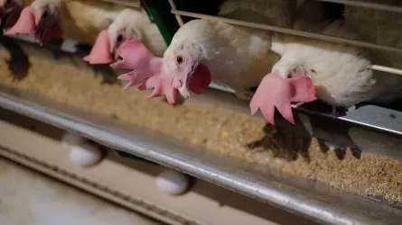 Еуропада жаңа дағдарыс басталуы мүмкін