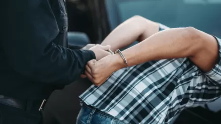 Алматы облысында 12 жастағы қызды зорлады деген күдікпен жасөспірім ұсталды