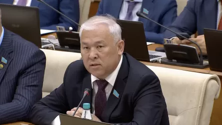 Мәжіліс төрағасы министрді мақтаған депутаттың сөзін бөліп жіберді