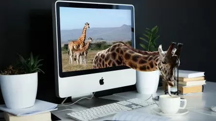 В Казахстане введут наказание за дипфейки 