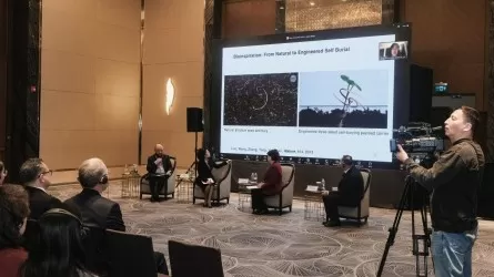 Аральское море хотят засадить с помощью дронов