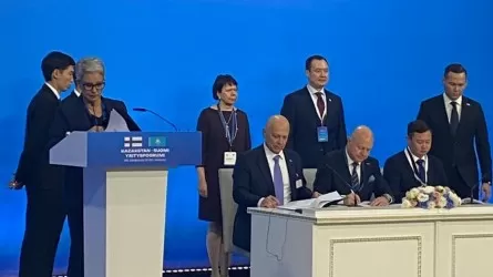 Ақкөл қаласында фин брендінің туристік үйлері пайда болуы мүмкін 