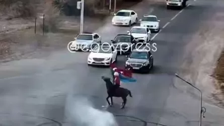 Лихачи на дороге попали под жесткие меры полиции в Алматинской области 