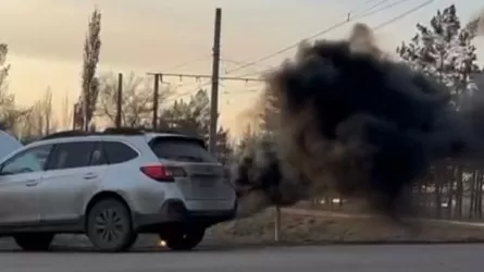 Павлодарские автомобилисты эксперимент на отзывчивость не прошли 