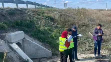 За плохие дороги наказали более 180 организаций в области Абай 