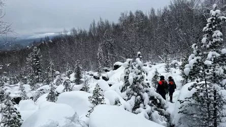 В Красноярском крае свернули активные поиски пропавшей семьи
