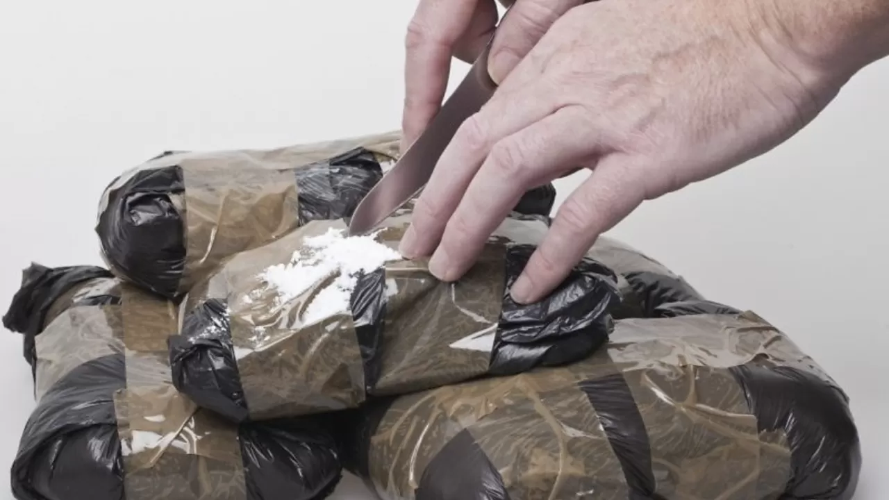 АҚШ-тан Алматыға есірткі жеткізген қылмыстық топ ұсталды