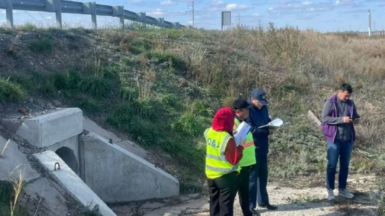 За плохие дороги наказали более 180 организаций в области Абай