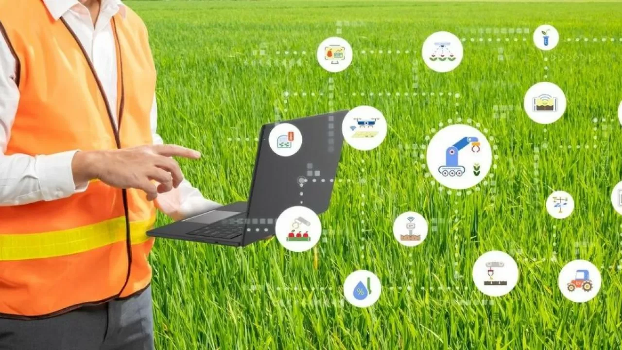 ИИ помогает казахстанским аграриям повышать урожай 