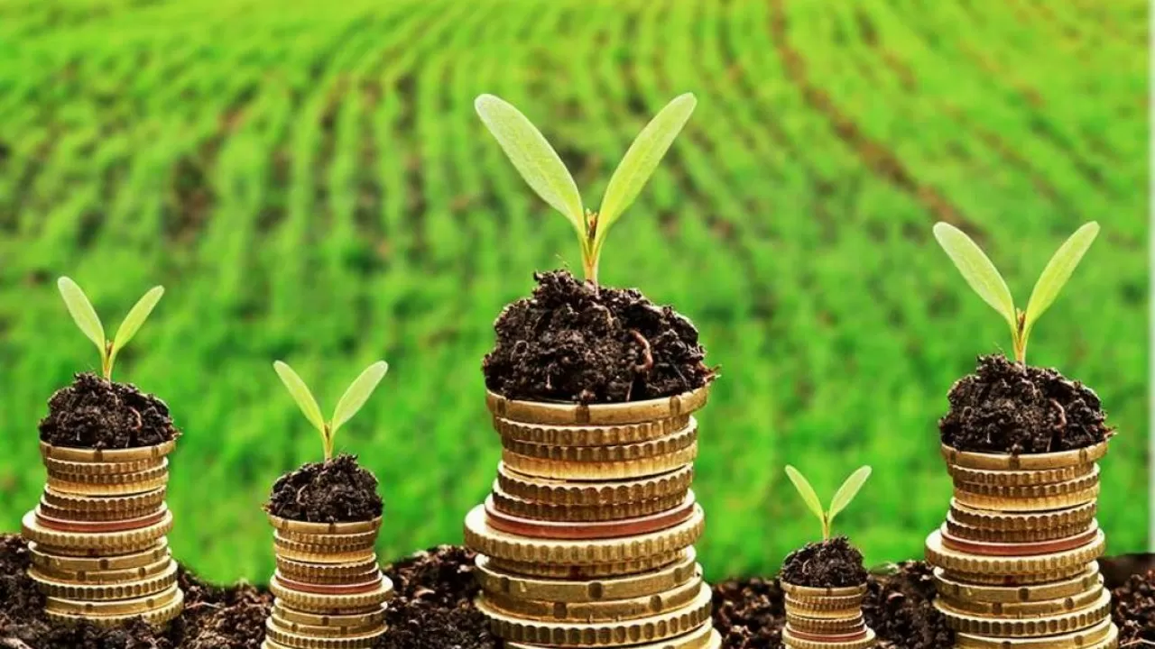 Долг в 341 млрд тенге: почему акиматы не могут платить фермерам, и вмешивается правительство