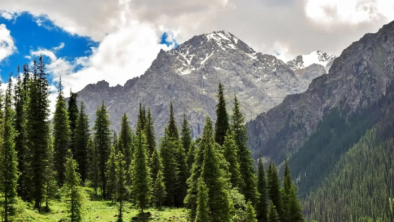 Казахстан представил туринициативы в Китае 