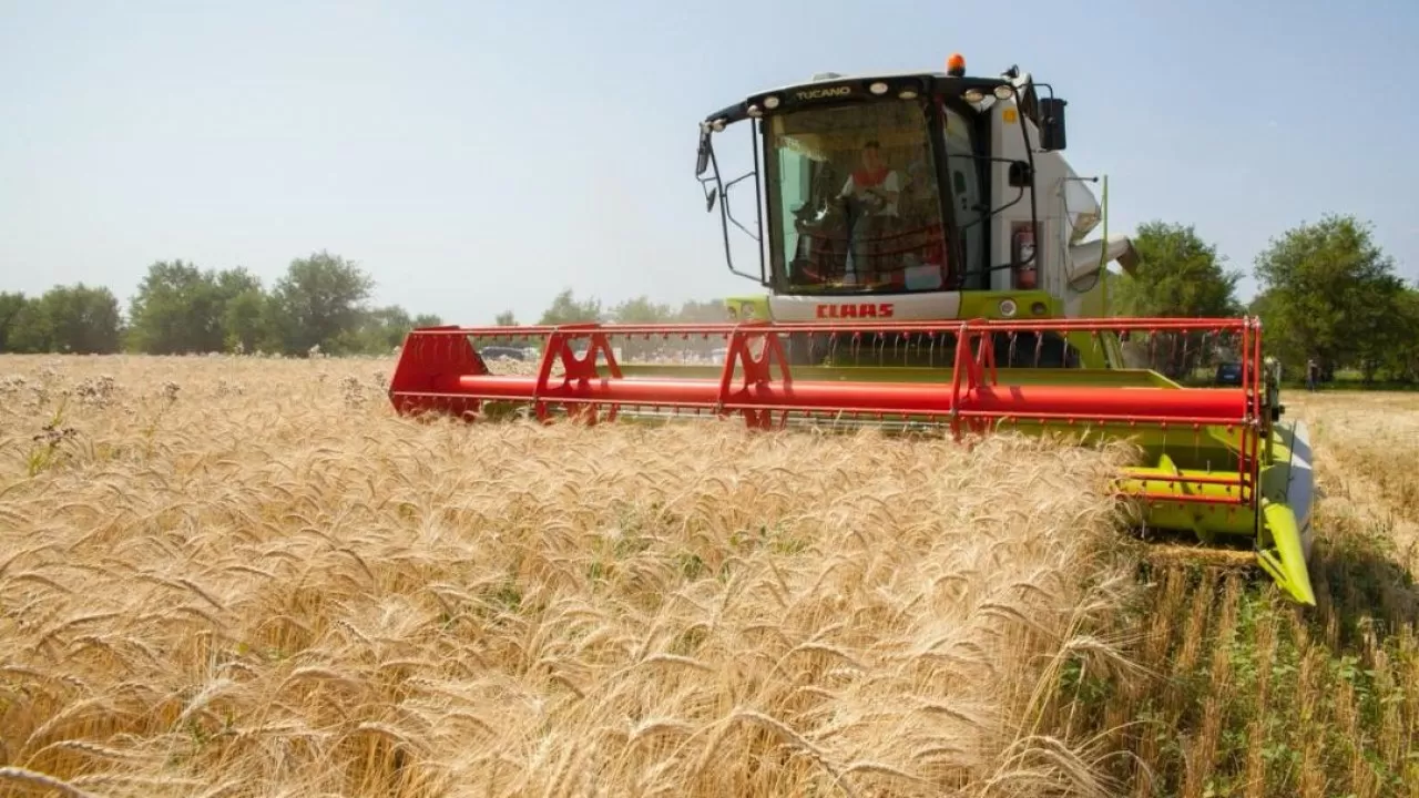 Казахстан завершил сбор урожая: минсельхоз заявляет о рекорде