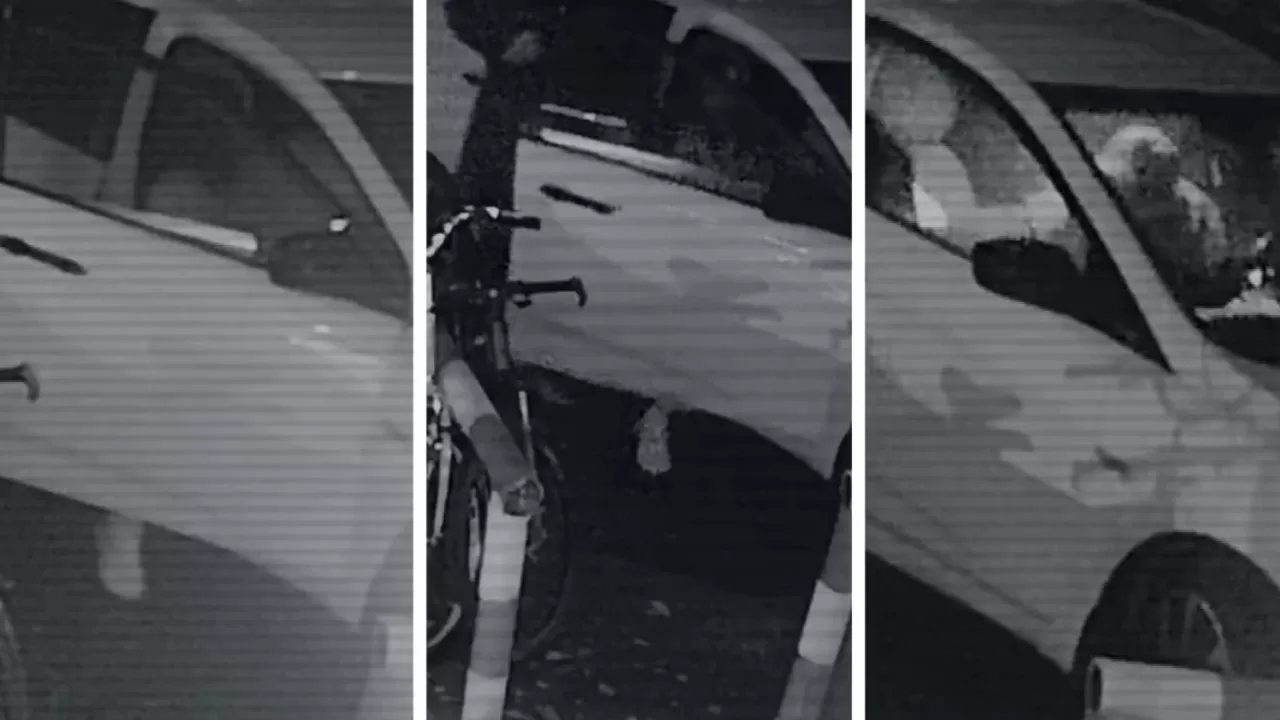 Интернеттен "Қазақстанда адам өлтіргенге қандай жаза бар?" деп іздеген: Полиция Янаның өлімін қалай ашты?