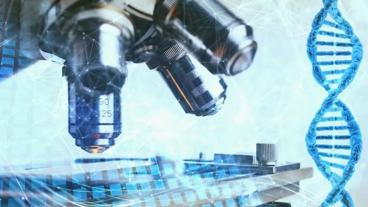 Прорыв в лечении болезни Альцгеймера: найден способ восстановления памяти