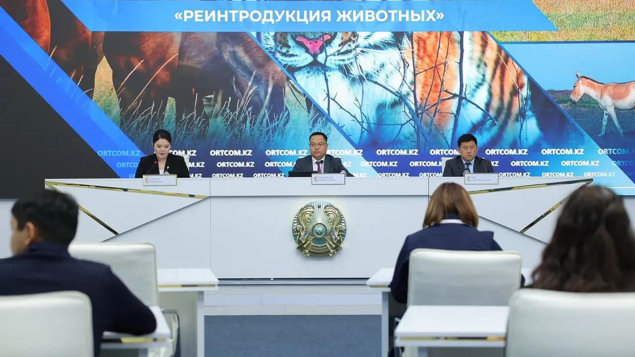 2026 жылы Қазақстанға Ресейден төрт Амур жолбарысы жеткізіледі  